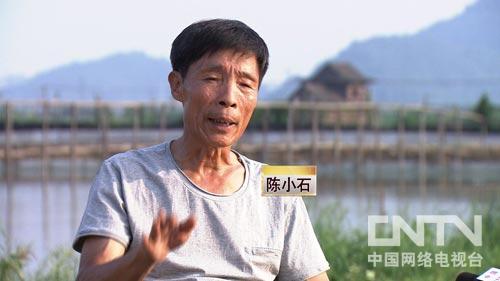 陈小石甲鱼养殖故事_广东顺德甲鱼养殖场_顺德甲鱼养殖风向标