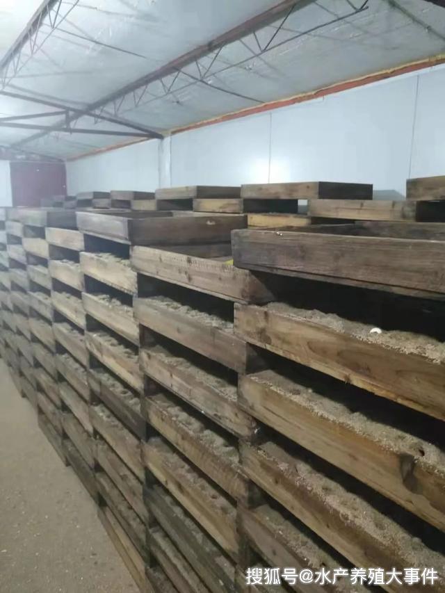 顺德区中华鳖养殖_广东顺德甲鱼养殖场_珠三角水产养殖示范区