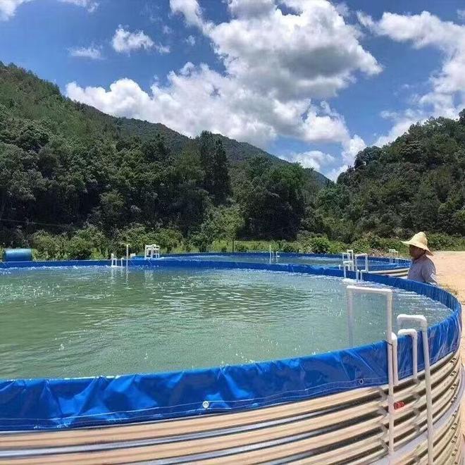 广东鑫昌农业甲鱼产业链优势_广东顺德甲鱼养殖场_广东鑫昌农业发展有限公司甲鱼养殖项目