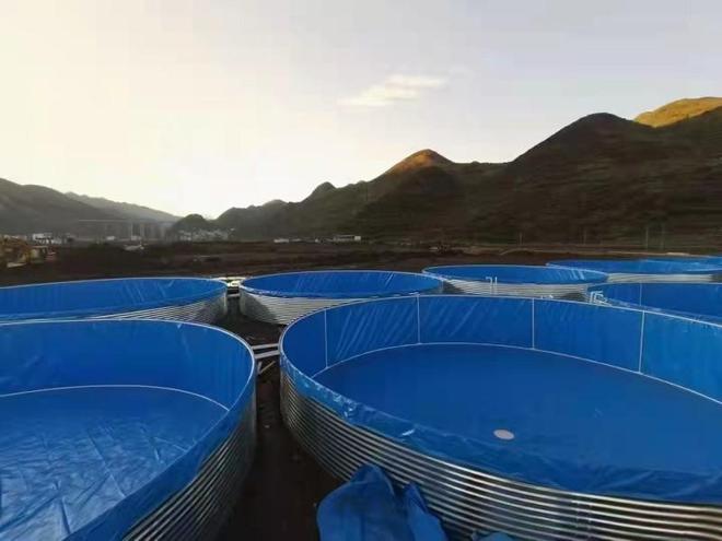 广东鑫昌农业发展有限公司甲鱼养殖项目_广东鑫昌农业甲鱼产业链优势_广东顺德甲鱼养殖场