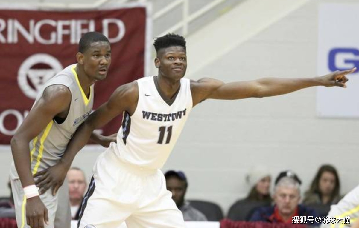 nba球员的臂展_球员静态天赋比较_NBA历史臂展排名