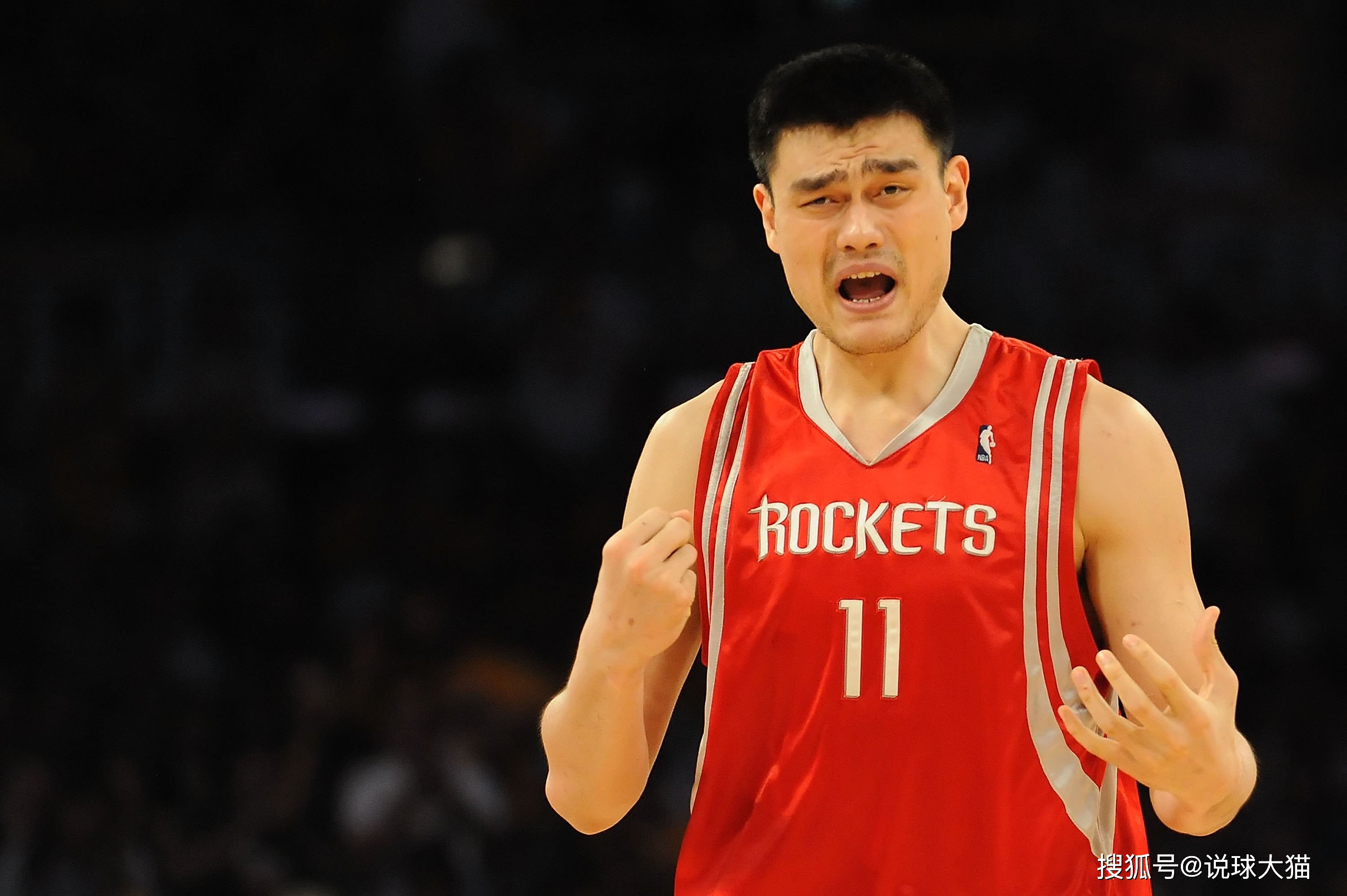 球员静态天赋比较_NBA历史臂展排名_nba球员的臂展