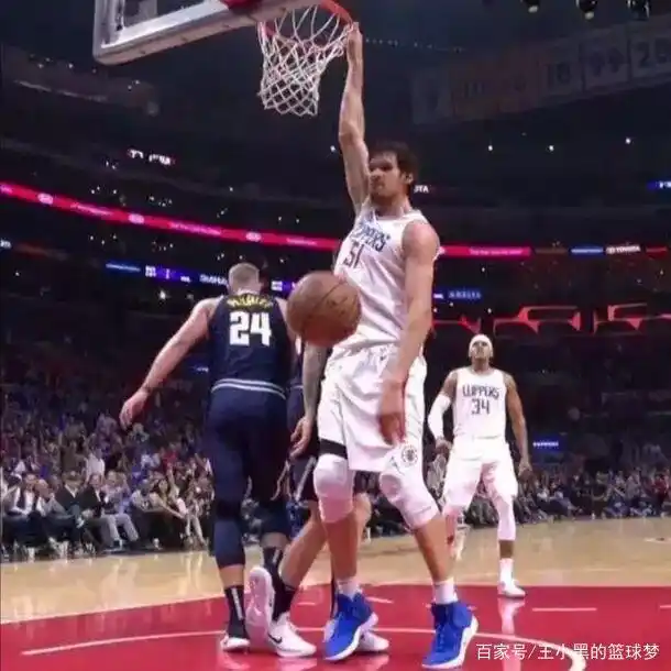 周琦臂展数据_nba球员的臂展_NBA球员臂展排名